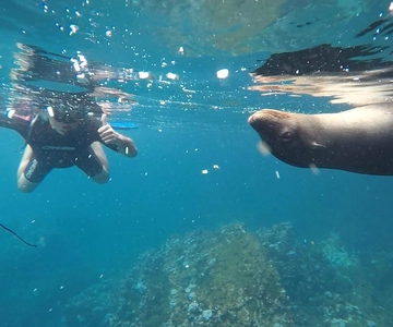 Kicker rock full day