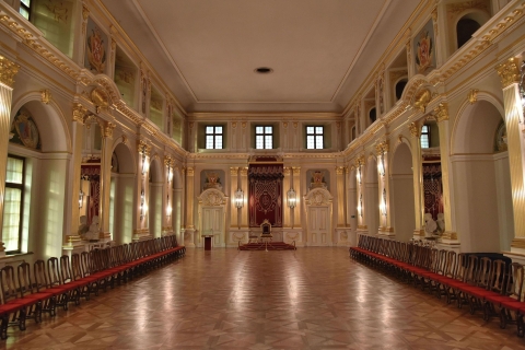 Varsovie: visite guidée du château royal avec accès prioritaireVisite guidée du château royal de 3 heures et de la vieille ville de Varsovie