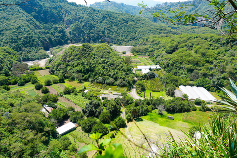 Quito: Nayón Village Tour with Farm Visit