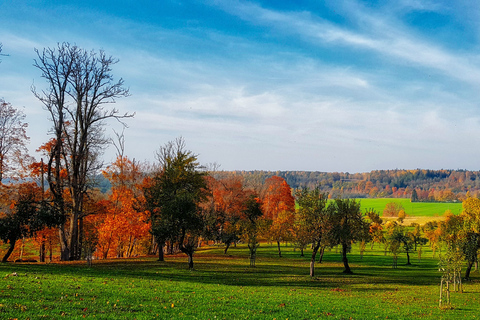 Von Riga: Abava-Tal-Tour