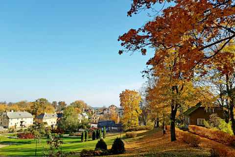 De Riga: Tour de la vallée de l'Abava