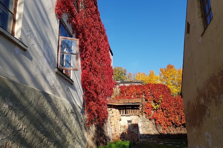 De Riga: Tour de la vallée de l'Abava