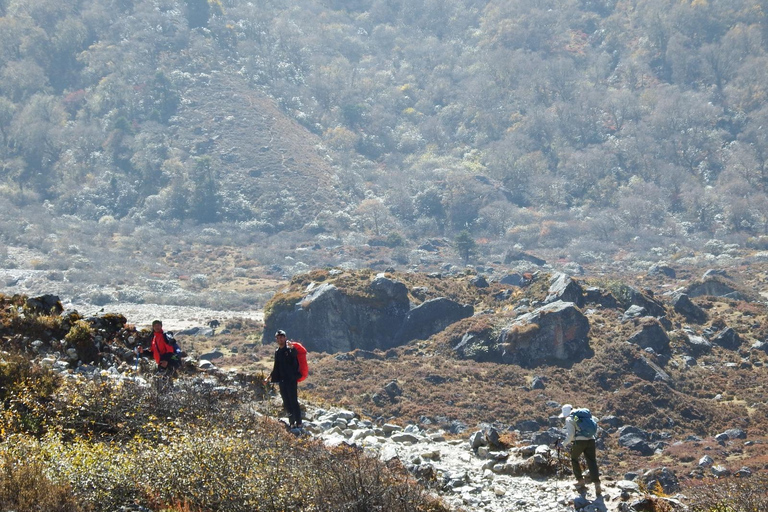 From Kathmandu: Langtang Valley Trek with Accommodation Langtang Trek