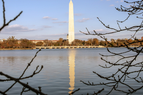 Washington: KersenbloesemtochtWashington, DC Cherry Blossom-tour