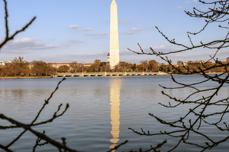 Washington: KersenbloesemtochtWashington, DC Cherry Blossom-tour