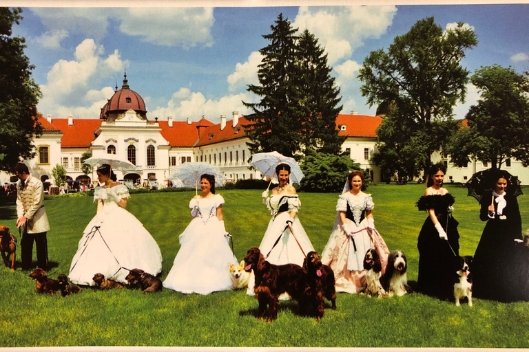 From Budapest: Gödöllő Royal Sissi Guided Tour