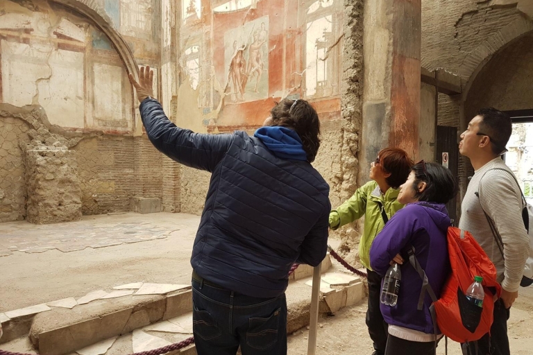 Naples: Pompeii and Herculaneum Private Walking Tour Private Tour