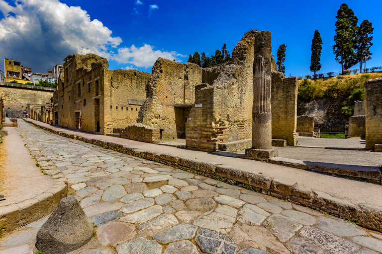 Pompeii and Herculaneum: Private Tour with Transportation