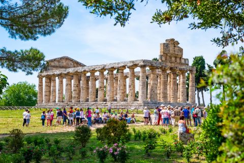 Paestum: tour dei templi antichi e del Museo Archeologico