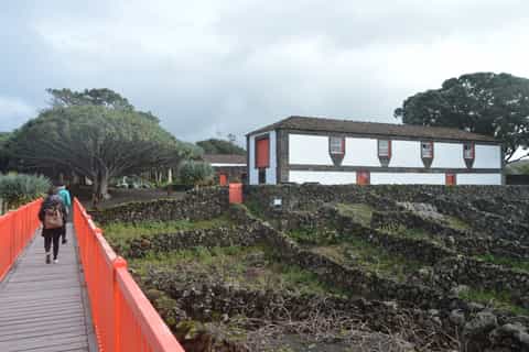 Madalena: Pico Wine Tour/UNESCO World Heritage Site