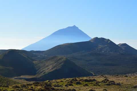 Pico Island: Guided Day Tour
