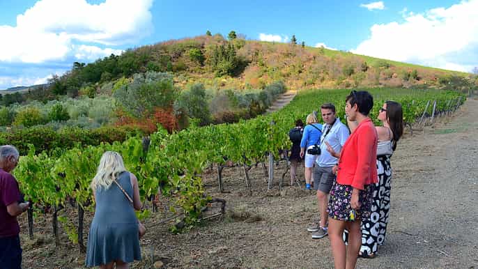 from florence small group chianti wine tour with lunch