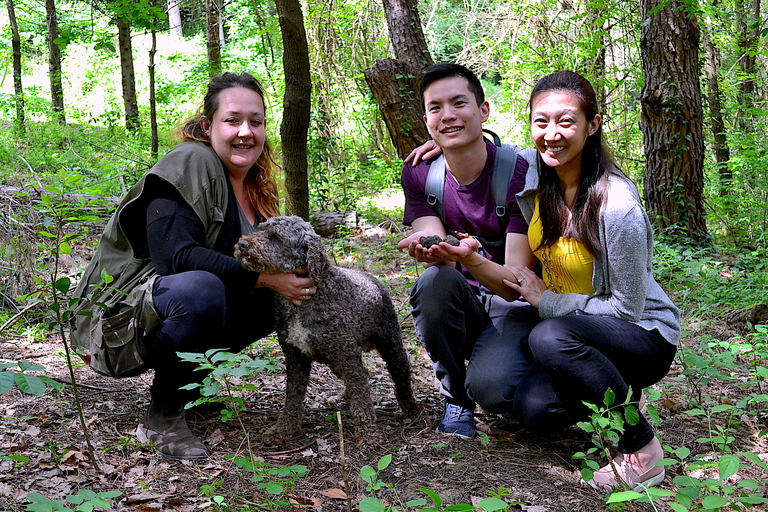 Florence: Truffle Hunting Tour, Wine Tasting, and Lunch