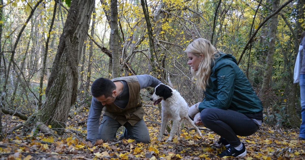 Florence Truffle Hunting Tour, Wine Tasting, and Lunch GetYourGuide