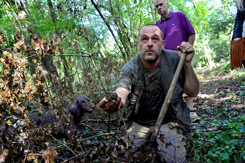 Florence : Tour de chasse à la truffe, dégustation de vin et déjeuner