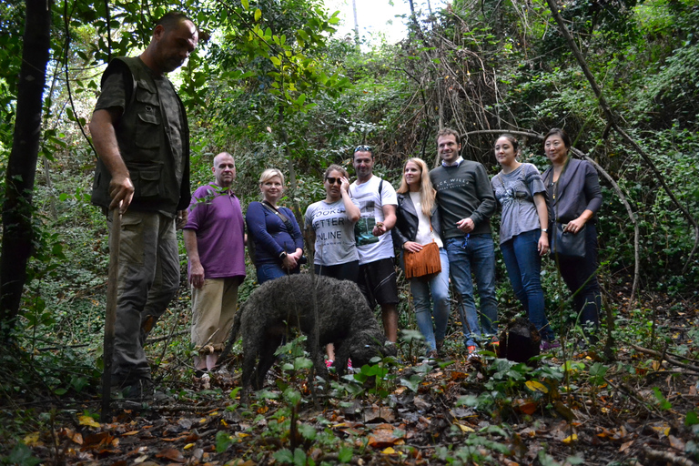 Florence: Truffle Hunting Tour, Wine Tasting, and Lunch