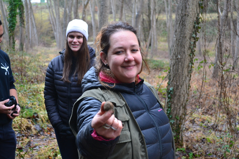 Florence: Truffle Hunting Tour, Wine Tasting, and Lunch