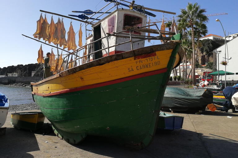 Madeira: tour personalizzato di 3, 4 o 6 oreTour di 6 ore in inglese, portoghese o spagnolo