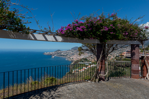 Madeira: tour personalizzato di 3, 4 o 6 oreTour di 6 ore in inglese, portoghese o spagnolo