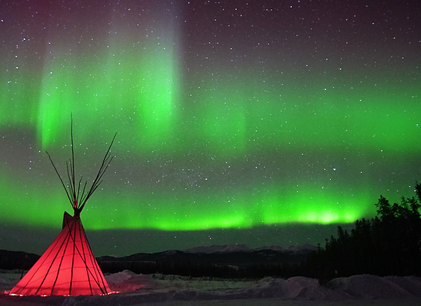 Yukon: Aurora Borealis aftentur for at se den sene aften