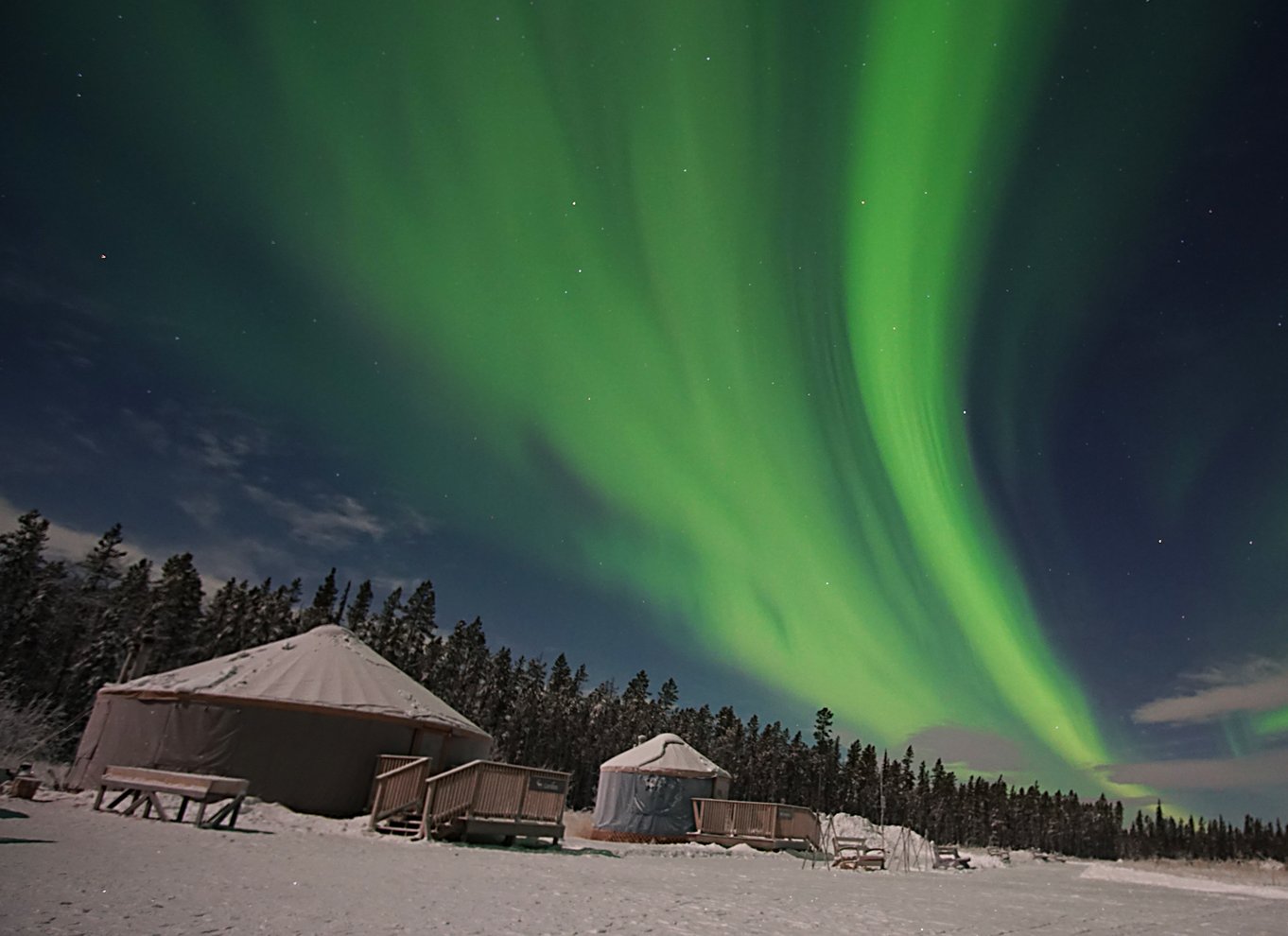 Yukon: Aurora Borealis aftentur for at se den sene aften