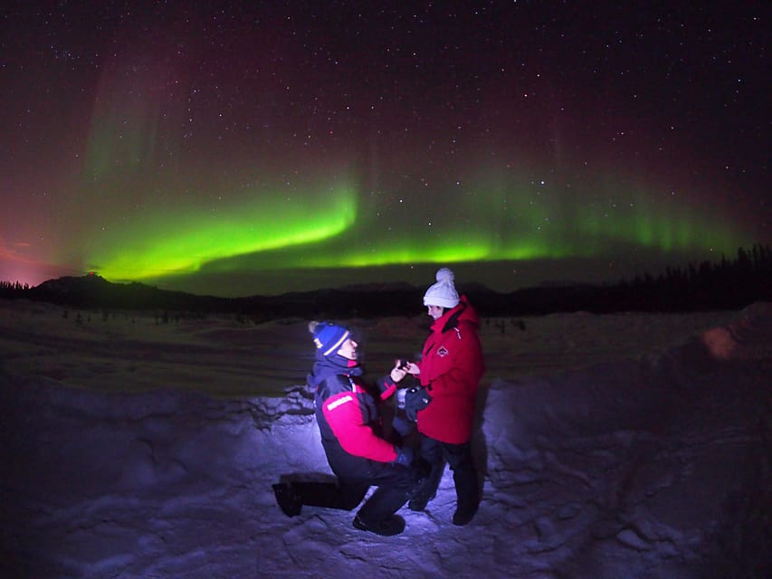 Yukon: Aurora Borealis Late Night Viewing Tour | GetYourGuide