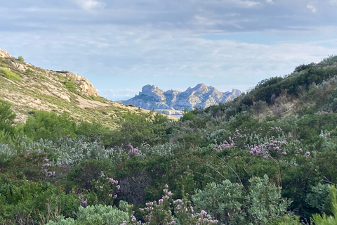 Calanques Ridge Trek with Panoramic Mediterranean Views