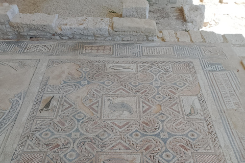 Tour di Cipro Rocce di Afrodite, Kourion,