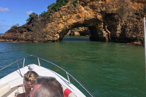 Barco Privado a Soufriere, Baño de Barro y Experiencia en la CascadaBarco 31' - Real Nauti