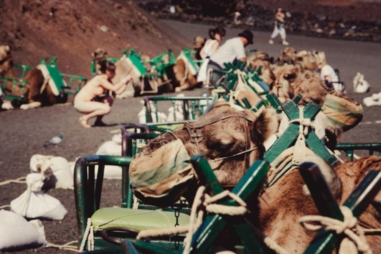 Gran Canaria: Przejazd na wielbłądzie po wydmach Maspalomas