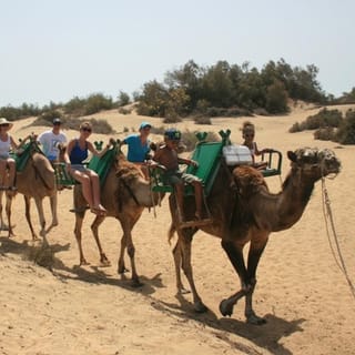 Gran Canaria: Kamelridetur gjennom sanddynene i Maspalomas