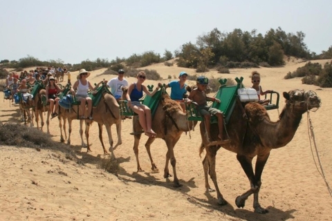 Gran Canaria: paseo en camello por las dunas de Maspalomas