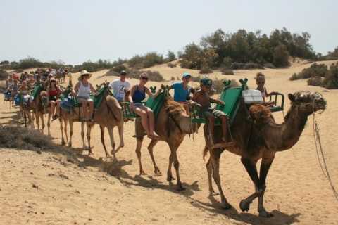 Grã-Canária: Passeio de Camelo nas Dunas de Maspalomas