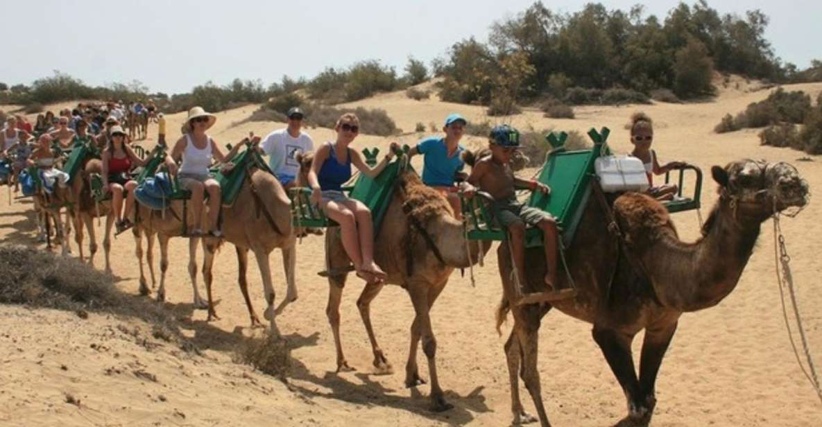 Dunes de Maspalomas : balade à dos de chameau