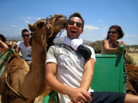 Maspalomas, Guided Camel Ride in the Maspalomas Sand Dunes - Housity
