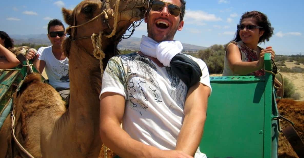 Gran Canaria: Camel Ride in the Dunes of Maspalomas