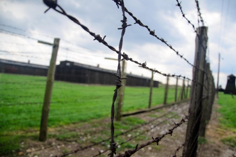 Varsovia: Tour privado guiado al campo de concentración de MajdanekTour privado guiado a Majdanek y Lublin Sightseeing - 12h