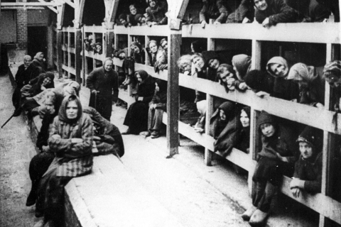 Varsovie: visite guidée privée au camp de concentration de MajdanekVisite guidée privée à Majdanek et à Lublin - 12h