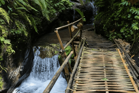 Bali: Ultimate Waterfall Adventure Journey