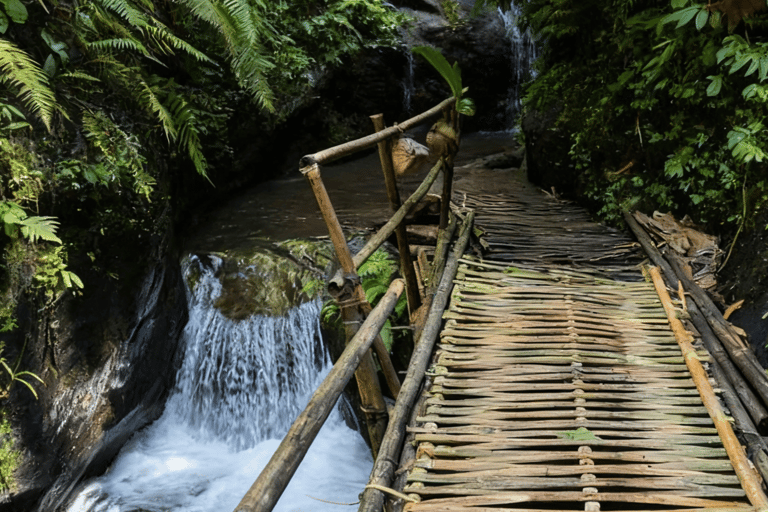 Bali: Ultimate Waterfall Adventure Journey