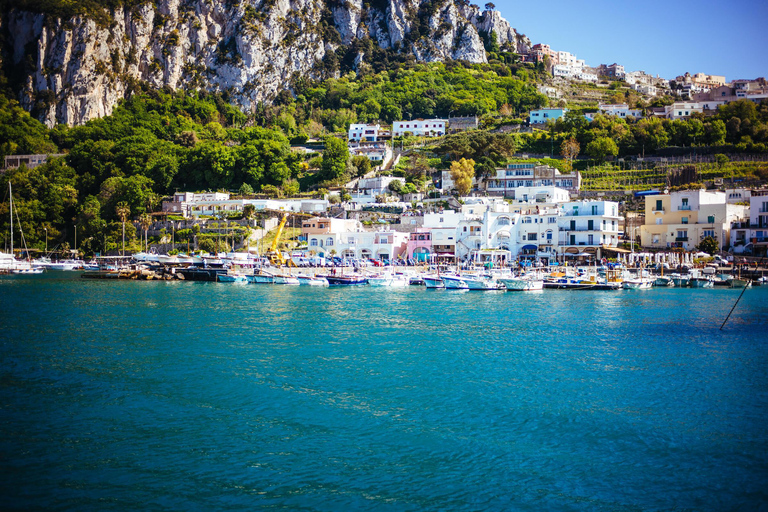 Au départ de Sorrente : Capri et tour en bateau des Grottes bleuesDepuis Sorrente : journée en bateau à Capri et grotte bleue