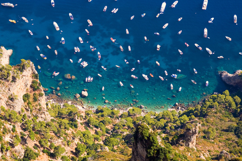 Au départ de Sorrente : Capri et tour en bateau des Grottes bleuesDepuis Sorrente : journée en bateau à Capri et grotte bleue