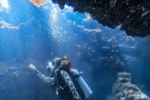 Discovery Local Diving - Mergulho Local - Buceo Doble | Personalizados