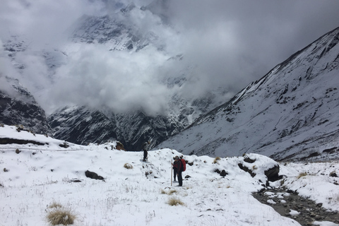 Pokhara: 10-daagse Annapurna Basiskamp Trek