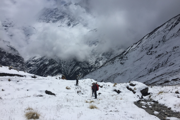 Pokhara: 10-daagse Annapurna Basiskamp Trek