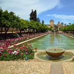 Cordoba: Tour guidato dell'Alcazar e biglietto di ingresso prioritario