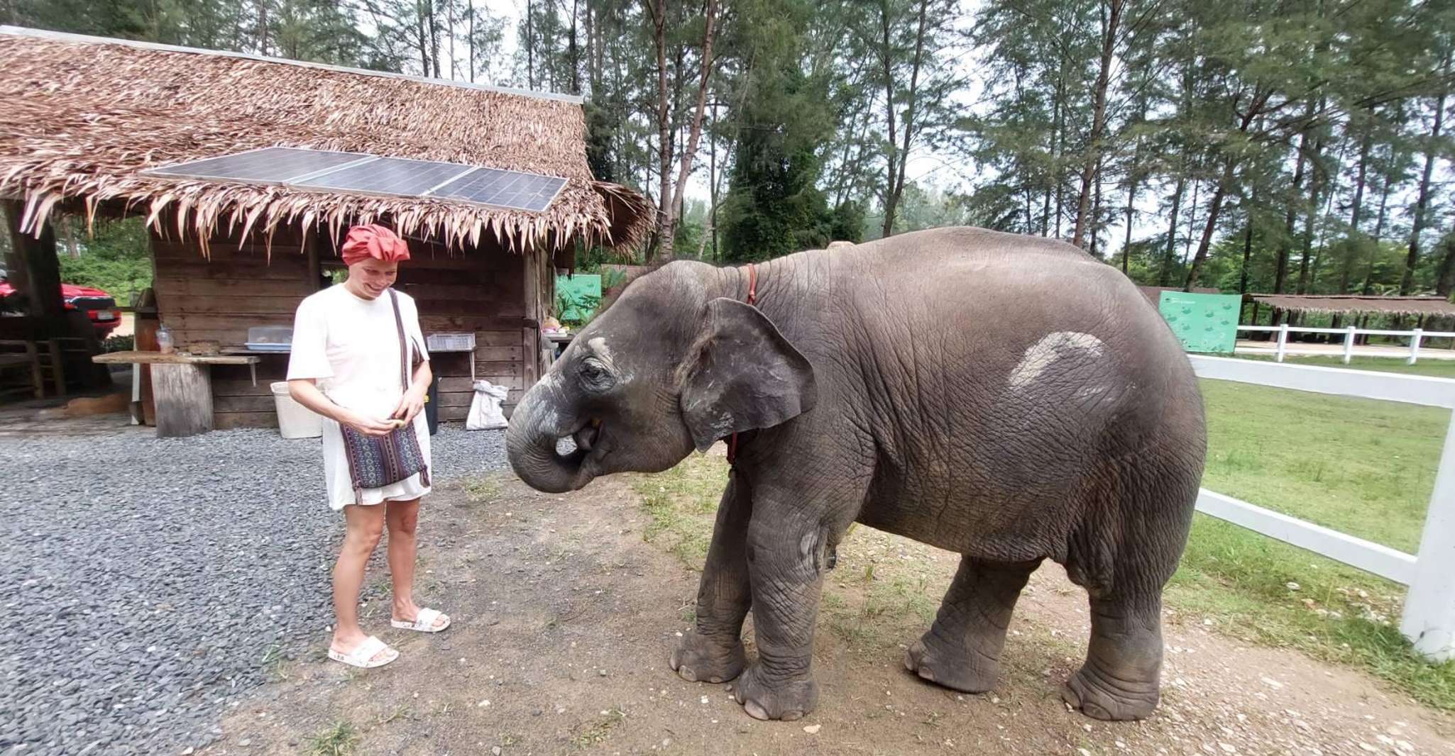 Khao Lak, Elephant Sanctuary Guided Tour - Housity