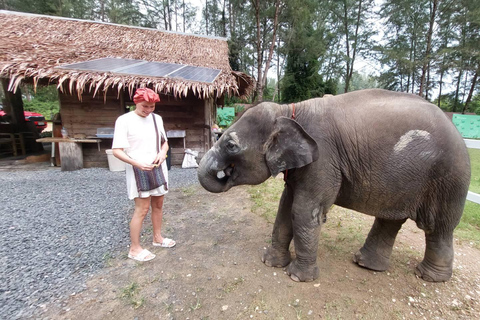 Interacción con el Elefante Khaolak Medio Día