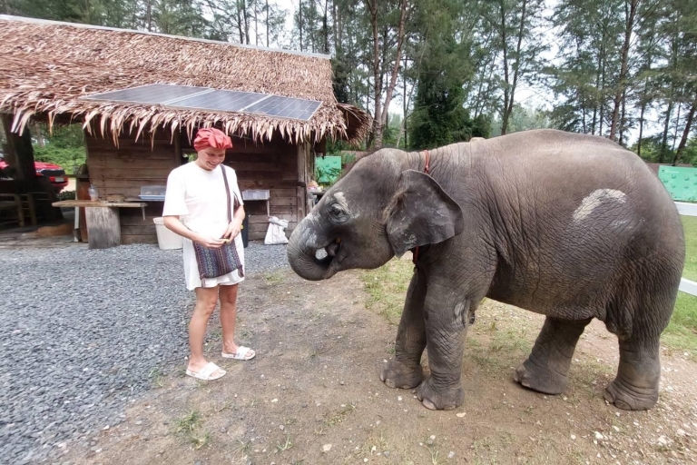 Interacción con el Elefante Khaolak Medio Día