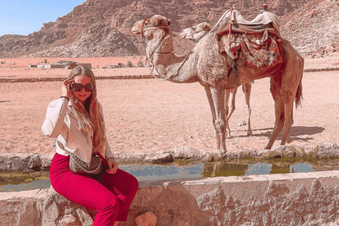 Deserto del Wadi Rum: tour di mezza giornata in jeep (mattina o tramonto)